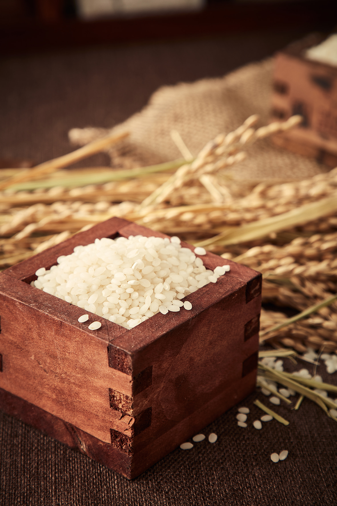 450g 진공포장쌀
