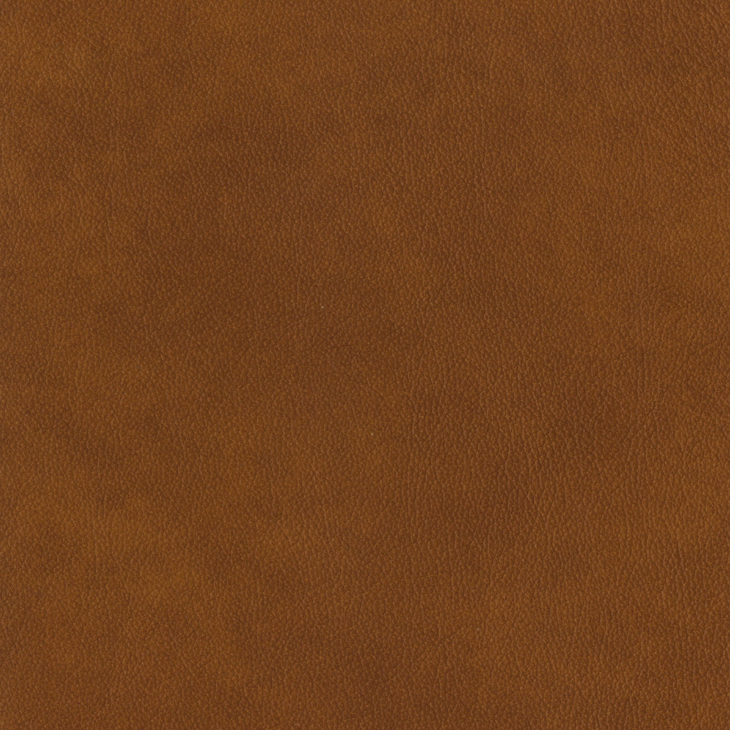 잭슨 Dough Module - Leather