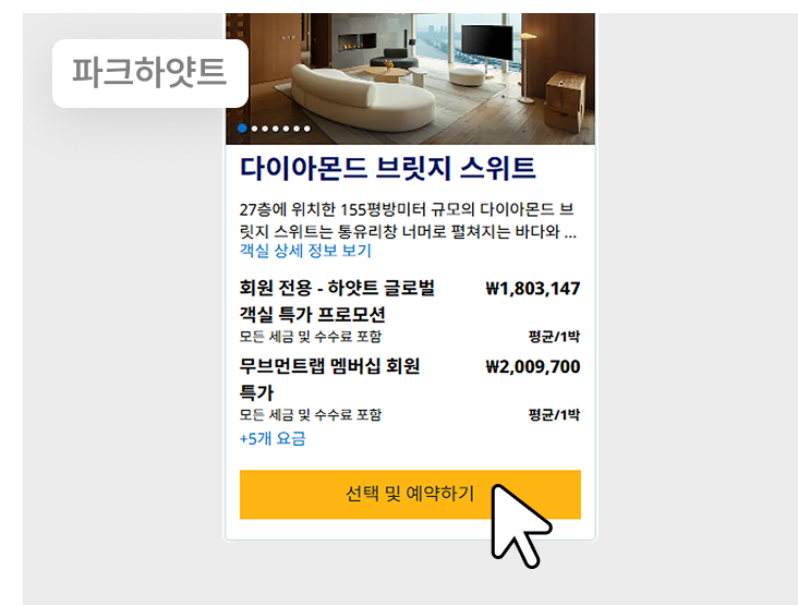안내사항